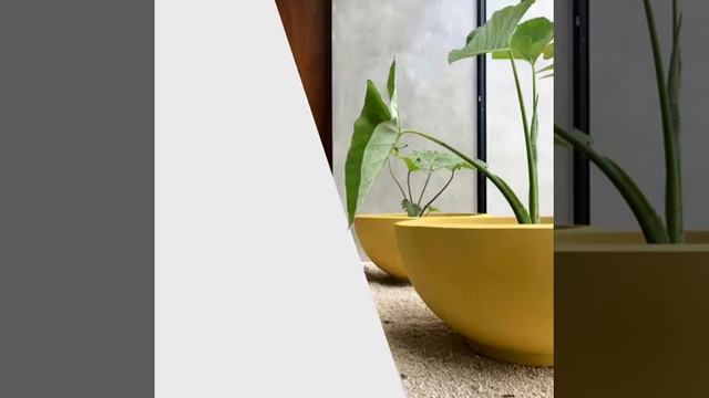 Fabricamos macetas de lujo decorativas en fibra de vidrio en Cancún con envío a todo México. смотреть онлайн