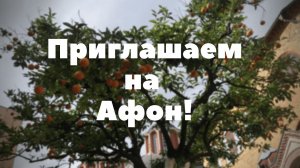 Приглашаем с нами на Афон!