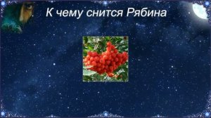 К чему снится Рябина (Сонник)