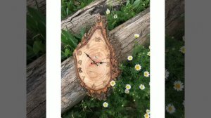 Оригинальные идеи из спилов дерева.