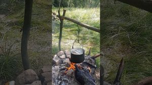 Обзор лагеря . Уха из судака. река Медведица. Тверская область