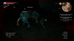 The Witcher 3: Wild Hunt – Farting Troll