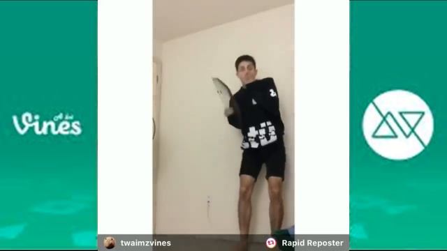 Best Vines Of Twaimz смотреть онлайн