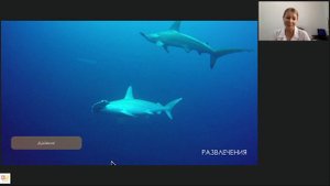 Veligandu (Мальдивы)