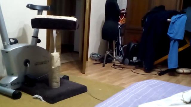 Когтеточка 2 смотреть онлайн