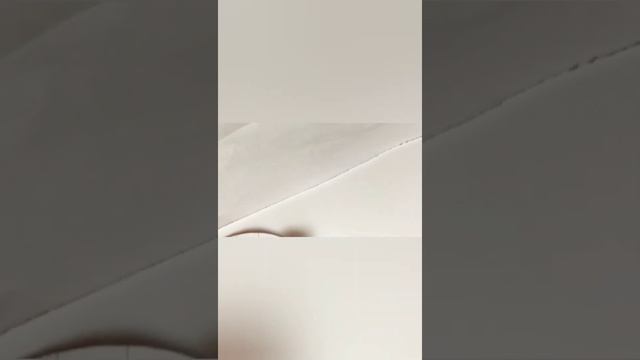 Поделка кота pop it смотреть онлайн