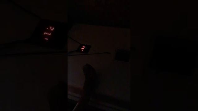 Шестой день инкубации перепелиных яиц . Проверка на оплод ( овоскопирование ) смотреть онлайн