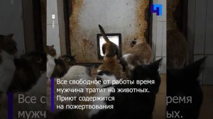 Места хватит всем: житель Алматы создал приют для животных на своем участке