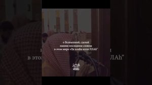 Мухаммад аль-Люхайдан‼️лучшая подборка✅