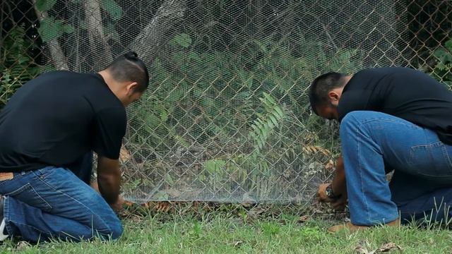 CRB / DeFence Trap смотреть онлайн