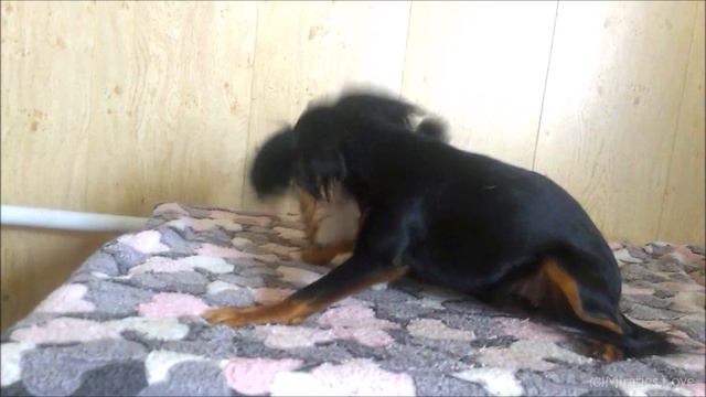 19 г - А мы тут, знаете, всё плюшками балуемся смотреть онлайн