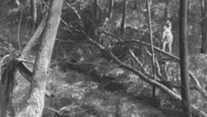 Тепловизионный  монокуляр Iray DV DP 09 (дневное время) тепловизор