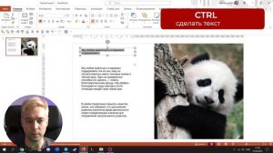 PowerPoint для начинающих. Интерфейс. Уроки PowerPoint 2023