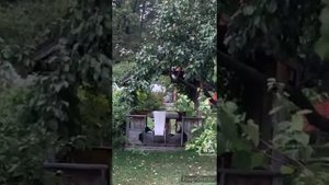 Дома из серяла Сваты в Кучугурах 2021 год (дом Ивана Будько и дом Митяя) ??????