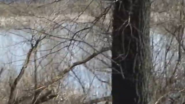 Рыбалка на оке 1 (Первые любительские съемки на камеру) смотреть онлайн