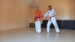 ПОЛЕЗНЫЕ ПРИЕМЫ из боевого самбо и айкидо. Useful techniques from combat sambo and аikido