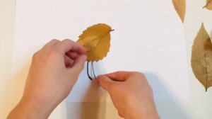 ПОДЕЛКИ ИЗ ЛИСТЬЕВ ???Аппликация из листьев Осенние поделки из природного материала