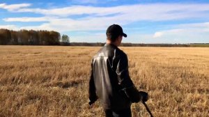 Как я нашЁл "три" золотых кольца при помощи металлоискателя Garrett Ace 150