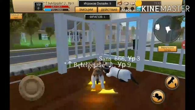 Типы игроков в СИМУЛЯТОРЕ КОТА ЖИЗНЬ ЖИВОТНЫХ смотреть онлайн