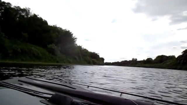 Маленький жерех на salmo minnow 05F/HP смотреть онлайн