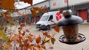 Дуа Маликуль мульк красивые чтение