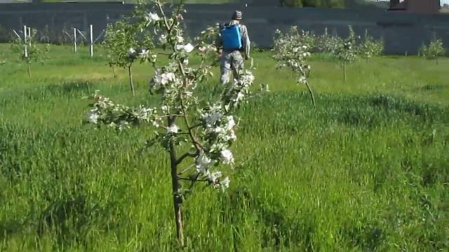 бордосская смесь и как её разбавлять смотреть онлайн