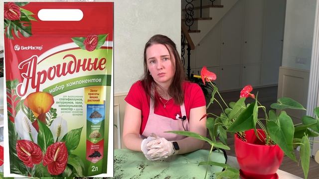 №7. Антуриум. Пышный куст из вытянувшихся растений. смотреть онлайн