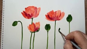 Как просто нарисовать мак красками.