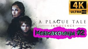 A PLAGUE TALE: Innocence прохождение ► Глава 2 Незнакомцы ► #2 /RTX 3080 Ti