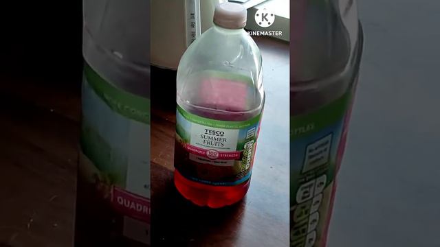Обживаемся: покупки, сортировка мусора, что случилось с птичкой и как переоформить Chaild benefit