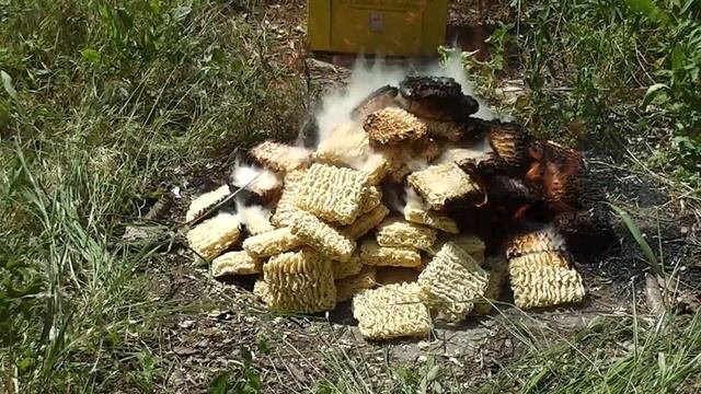 ЧТО БУДЕТ, ЕСЛИ ПОДЖЕЧЬ 100 ПАЧЕК ВЕРМИШЕЛИ РОЛЛТОН