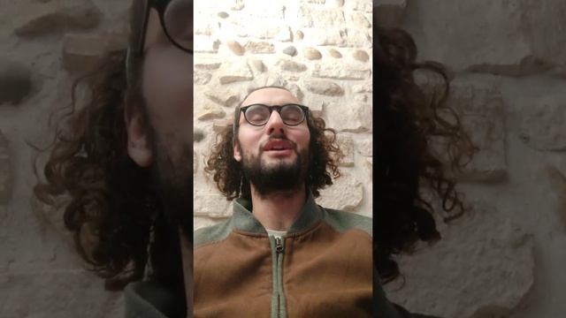 Retour d'expérience de mon tour de France au pays de la Fresque du Climat смотреть онлайн