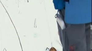 Следы животных в лесу (следопыт)