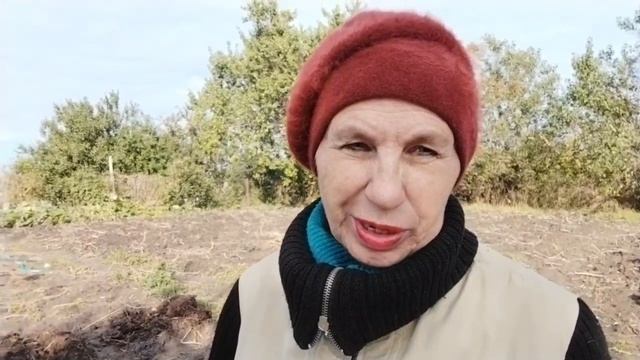 Копать или не копать. А что вносить в почву?