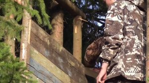 Строим новый ЛАБАЗ для охоты, привада на Лису...