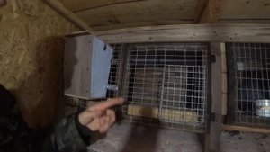 Клетки для кроликов своими руками/Почти без затрат/Из остатков со стройки...