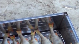 Путешествие на плоту по рекам Сибири