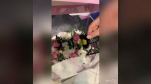 Подарок в Уфе. Живые бабочки. Организация от компании @sweetlove_ufa