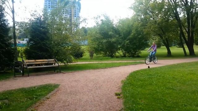 Велосипед Skyline – смотреть онлайн видео от Велоремонт в хорошем ...