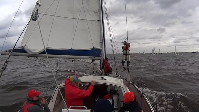 яхта Милонга (Forna 37), огибание знака Кубок Балтица 2015 осень смотреть онлайн