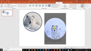 Powerpoint: как обрезать картинку по кругу