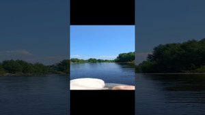 Река Чегдомын