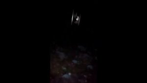 Странное существо в лесу или рейк