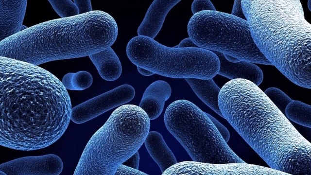 КАК Сделать Кожу КРАСИВОЙ и ЗДОРОВОЙ смотреть онлайн