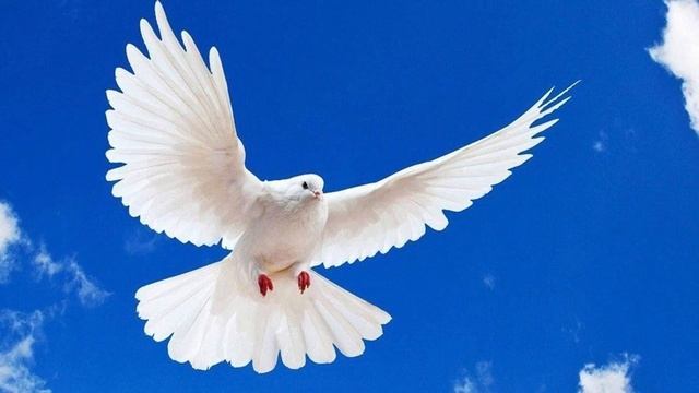 Иконы Святой Троицы со скидкой 20% - ПравЖизнь магазин смотреть онлайн