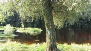 6-30  ,23.06.2016г. г.Лубны.Центральный пляж.