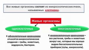 Y2mate.mx-Наука о живой природе _ Биология 5 класс #1 _ Инфоурок