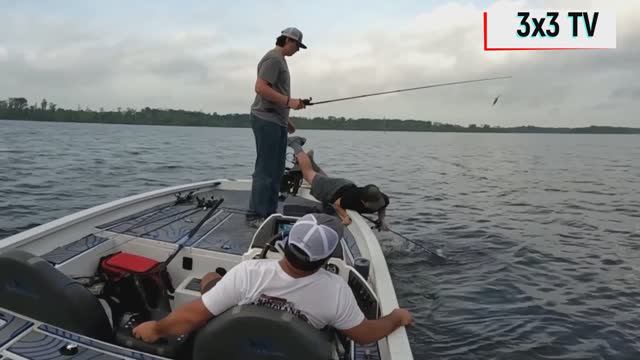 Смотреть подборку приколов смотреть онлайн