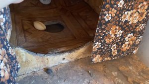 Как затенить выгул у кур и будет много яиц