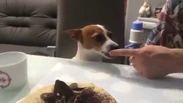 Руки прочь от моего тортика!